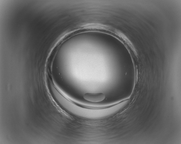 X0000083661376200702121205