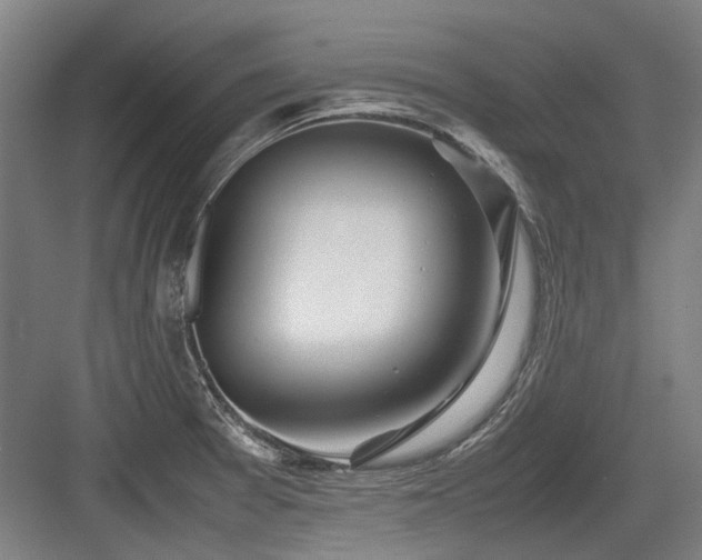 X0000083661377200702121205