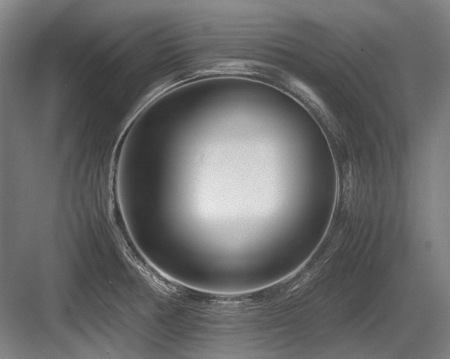 X0000083661378200702121205