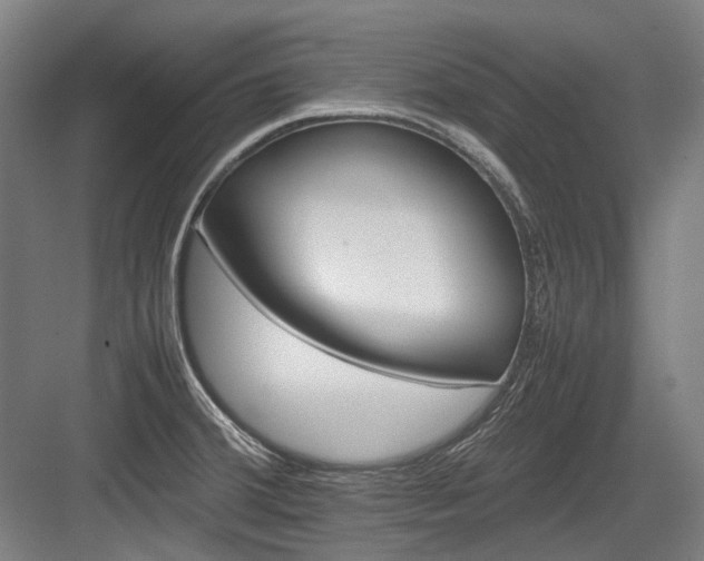 X0000083661380200702121205