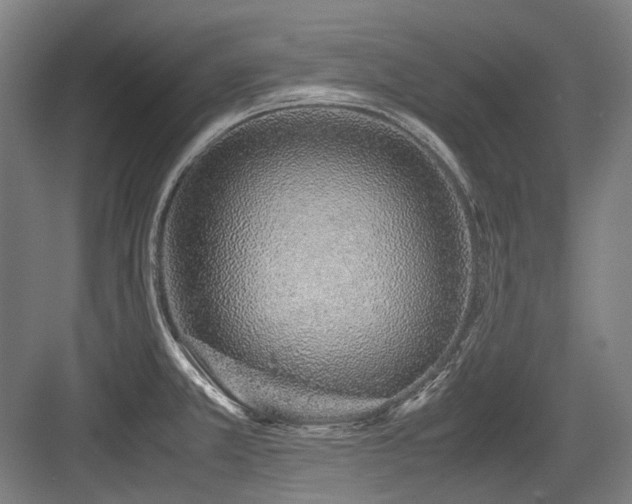 X0000083661381200702121205
