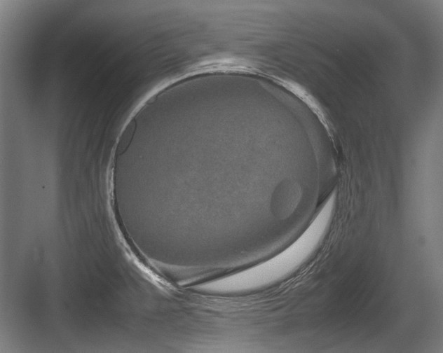 X0000083661383200702121204