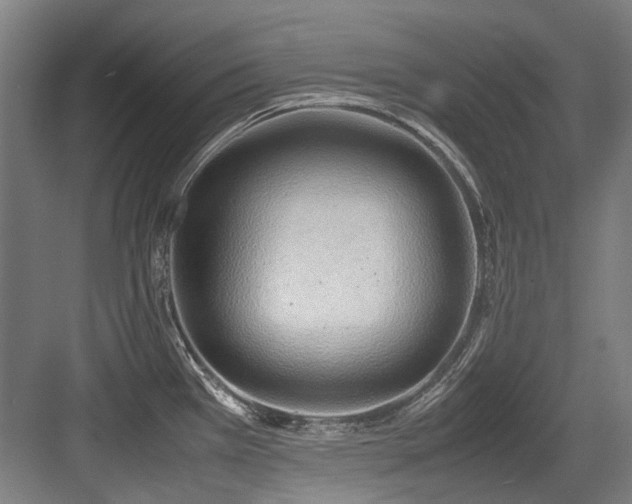 X0000083661385200702121204
