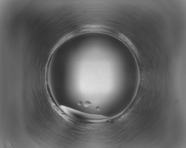 X0000083661386200702121204