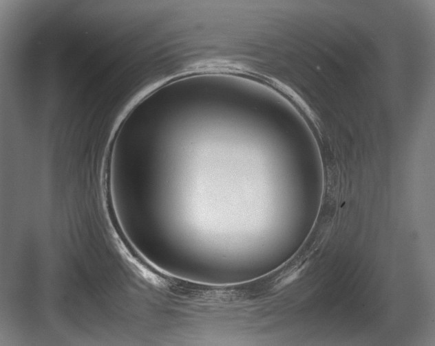 X0000083661387200702121204
