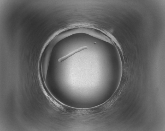 X0000083661389200702121204