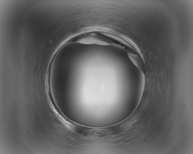 X0000083661391200702121204