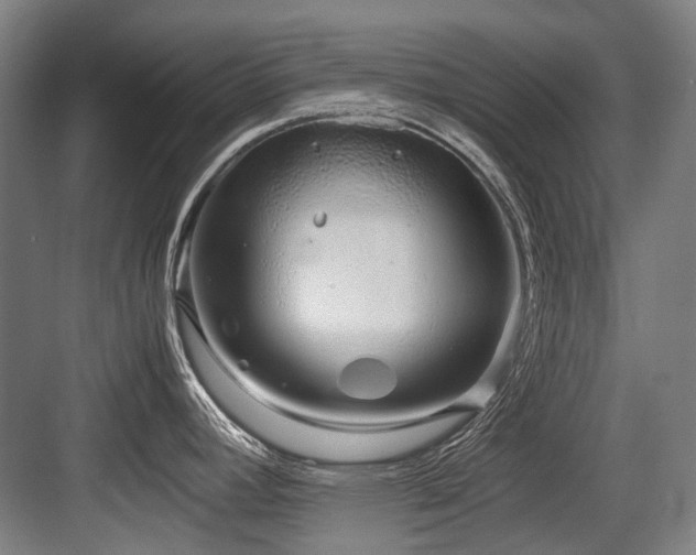 X0000083661392200702121204
