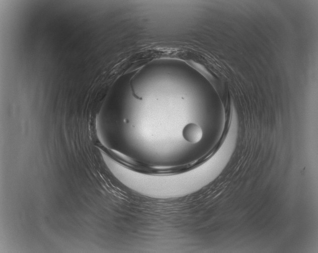 X0000083661394200702121204