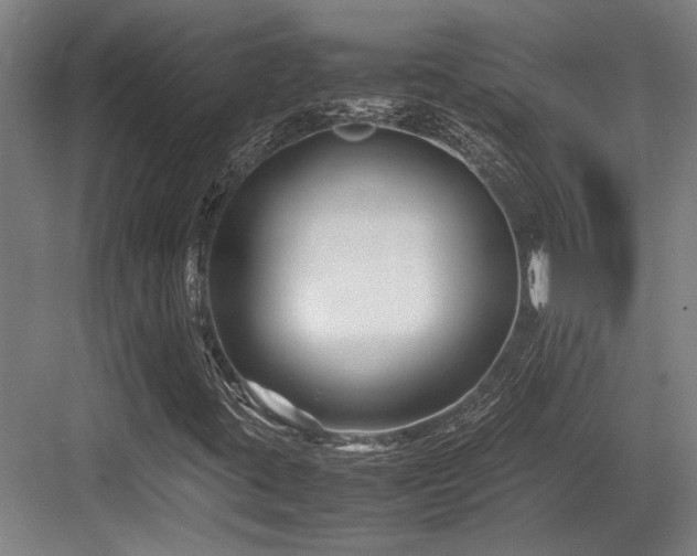 X0000083661395200702121204