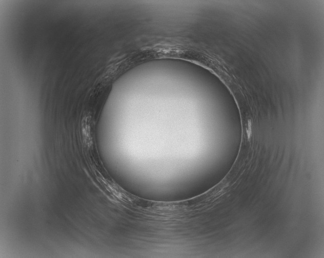X0000083661396200702121204