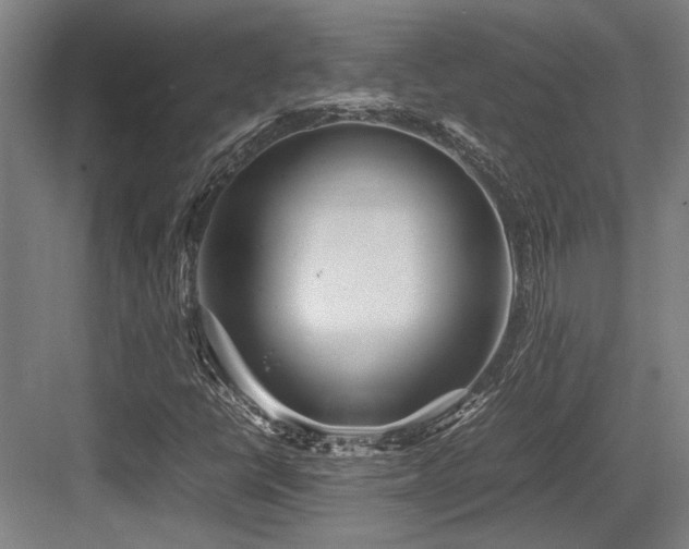X0000083661398200702121204