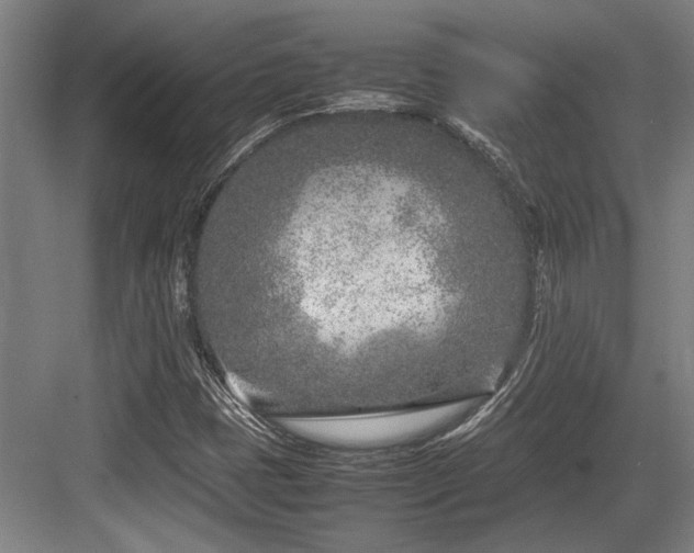 X0000083661401200702121204