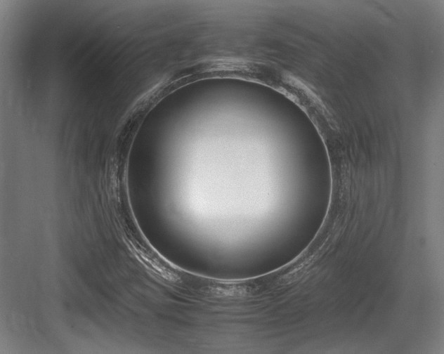 X0000083661403200702121204