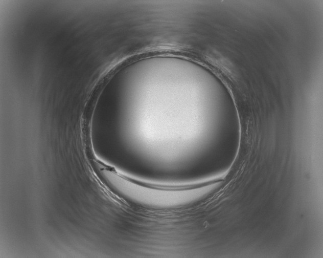 X0000083661404200702121204