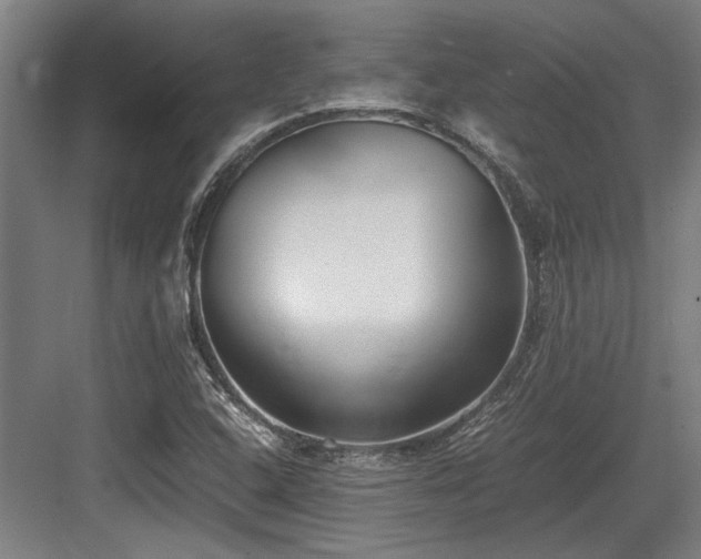 X0000083661408200702121204