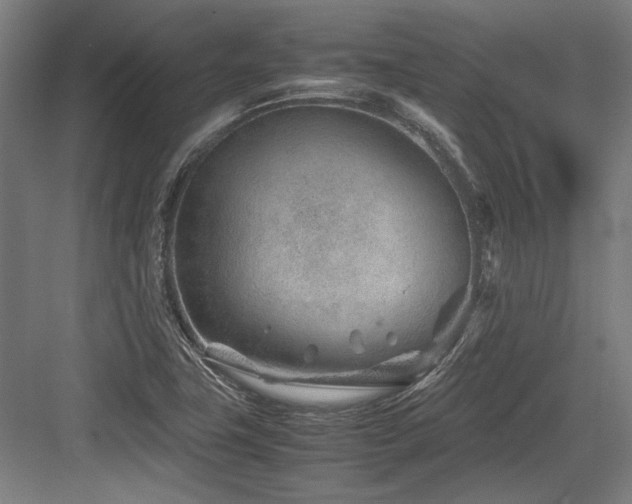 X0000083661411200702121204