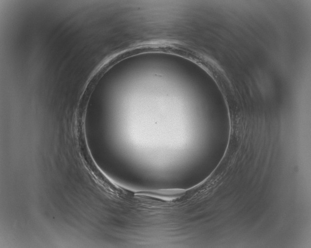 X0000083661412200702121204