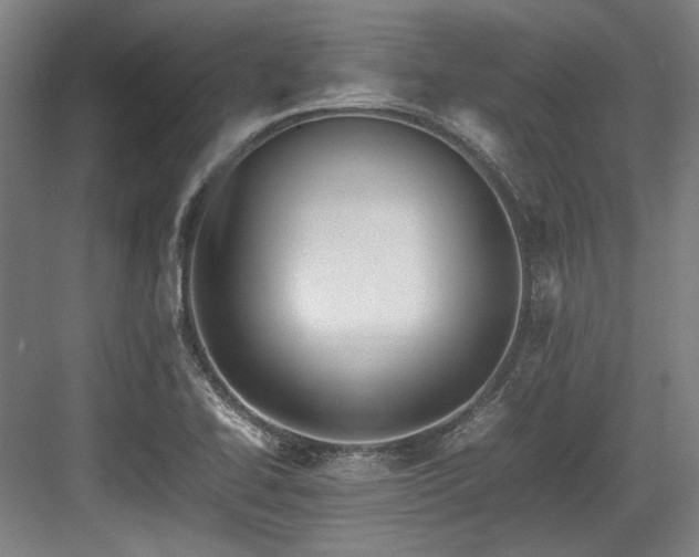 X0000083661414200702121204