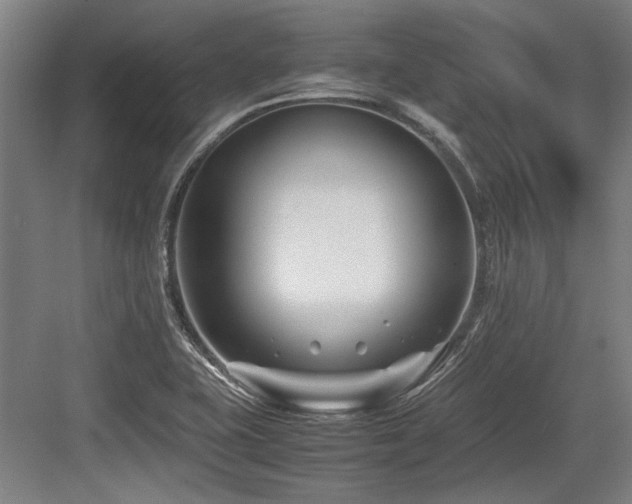 X0000083661415200702121204