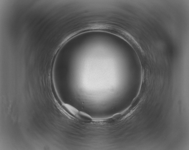 X0000083661417200702121204