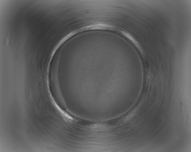 X0000083661418200702121204