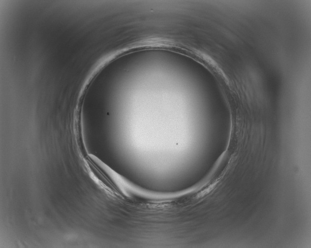 X0000083661421200702121204
