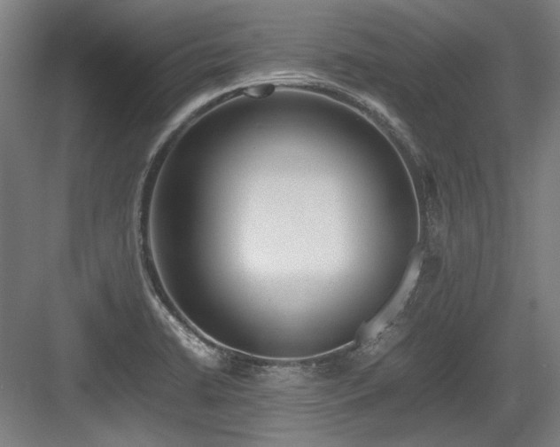 X0000083661422200702121204