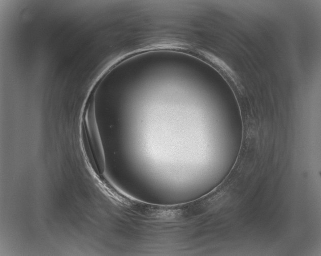 X0000083661423200702121204