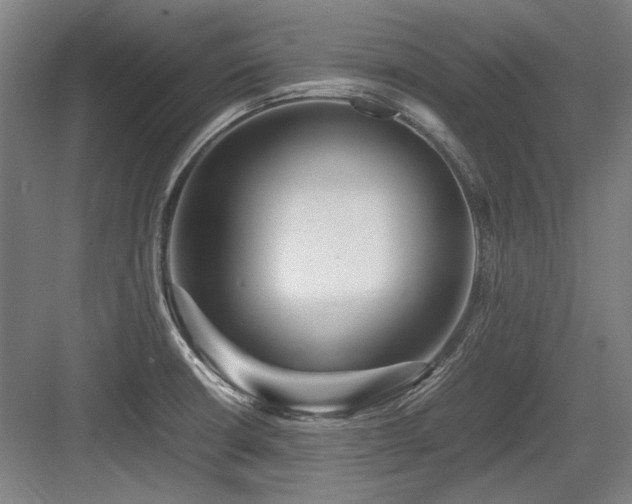 X0000083661426200702121204