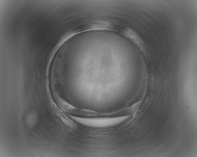 X0000083661427200702121204