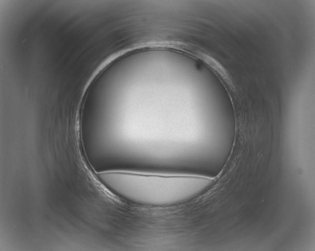 X0000083661428200702121204