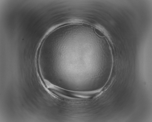 X0000083661429200702121204