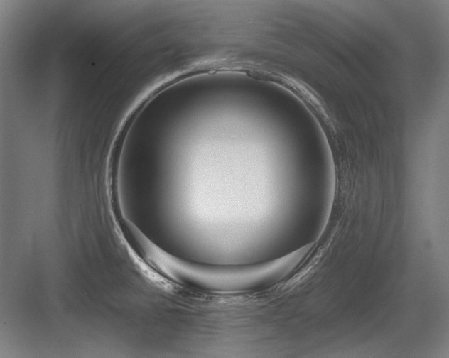 X0000083661430200702121204