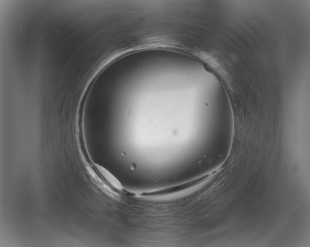 X0000083661431200702121204