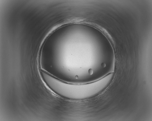 X0000083661432200702121204