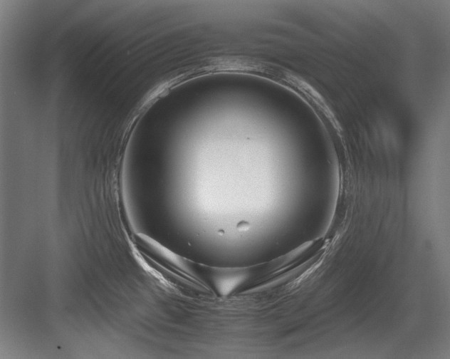 X0000083661433200702121204