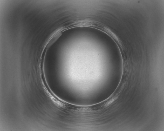 X0000083661434200702121204