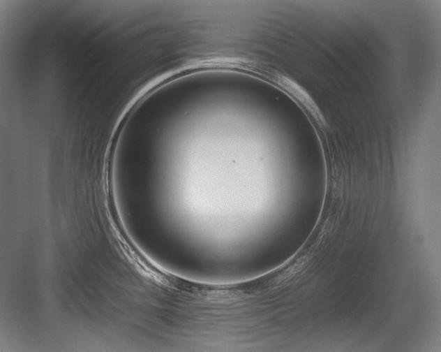 X0000083661436200702121204