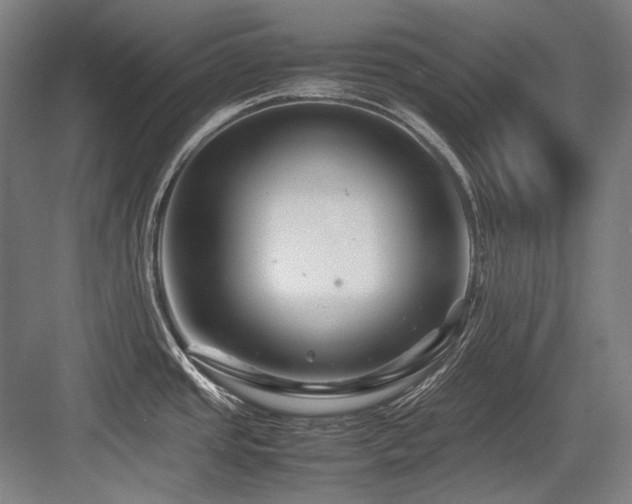 X0000083661437200702121204