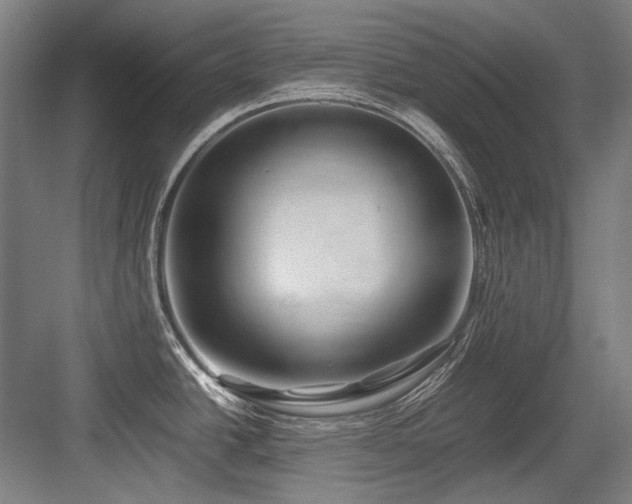 X0000083661438200702121204