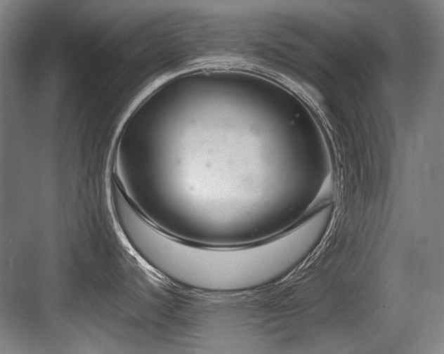 X0000083661440200702121204