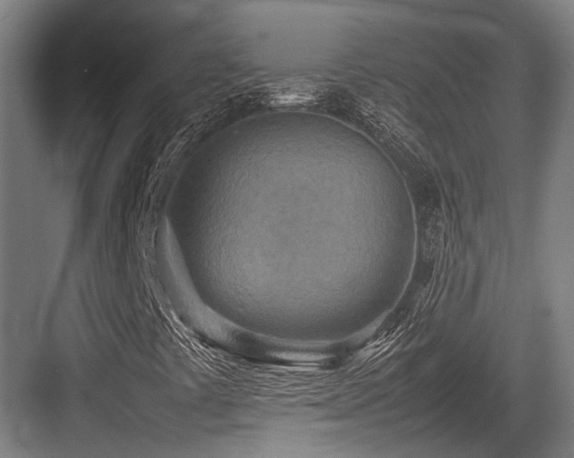 X0000083661441200702121204