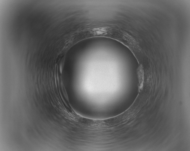 X0000083661442200702121203