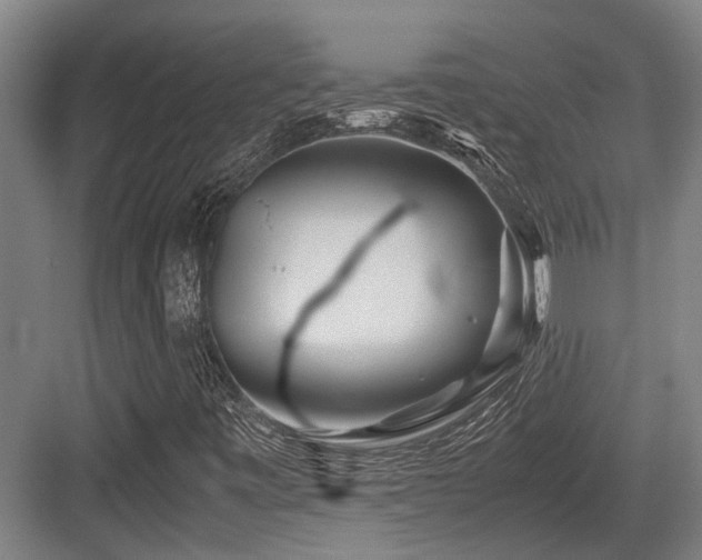 X0000083661443200702121203