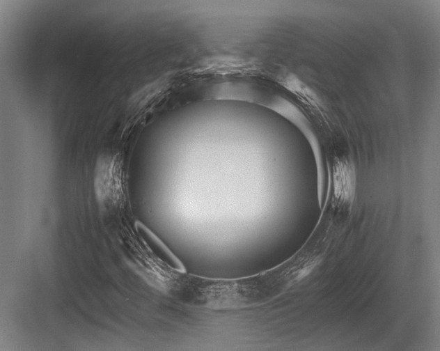 X0000083661444200702121203