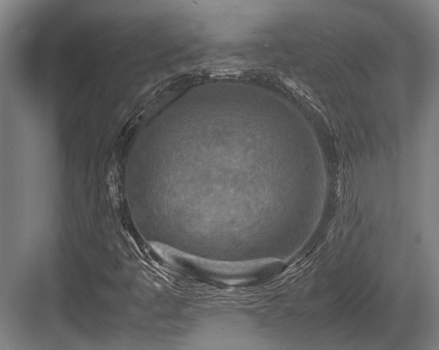 X0000083661445200702121203