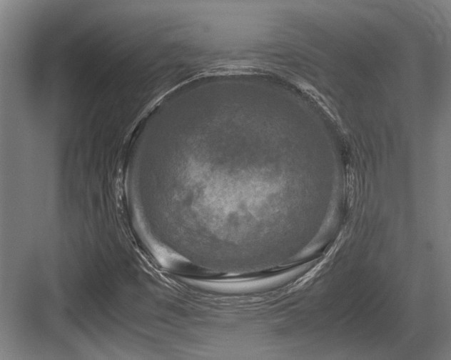 X0000083661449200702121203