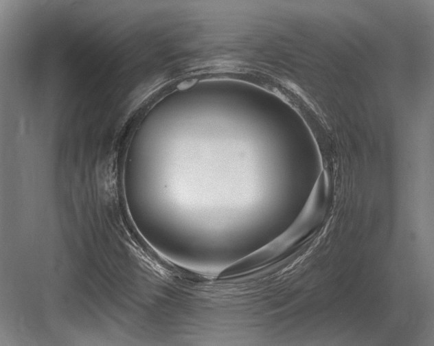 X0000083661450200702121203