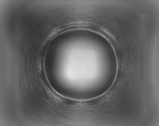 X0000083661451200702121203